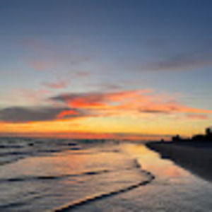 Meet your Posher, Maddy